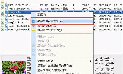 sd卡格式化恢复工具_sd卡格式化恢复工具免费版